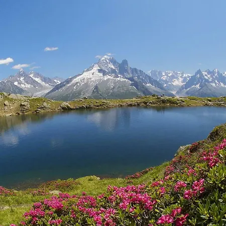 Luxurious With Swimming Pool Amidst The Rhone Alps Appartamento Chamonix